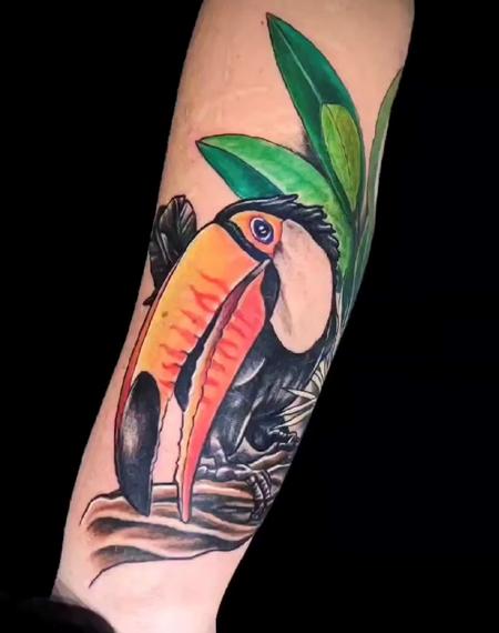 Marcus Judd - Marcus Judd Toucan